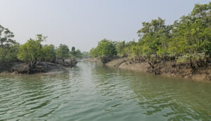 সুন্দরবন শিক্ষা সফর ফটো গ্যালারী